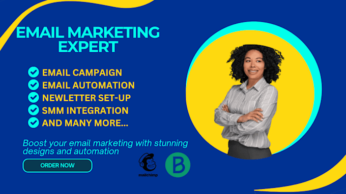 Gig Preview - Create and setup email marketing campaign for your mailchimp or brevo