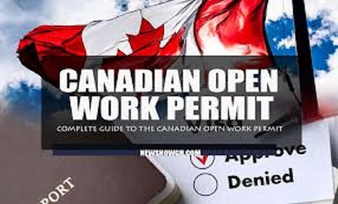 Gig Preview - Write canada ict work permit,c11 and lmia business plan