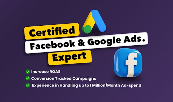 Gig Preview - Run meta facebook ads, google ads, ecommerce expert, increase campaign roas