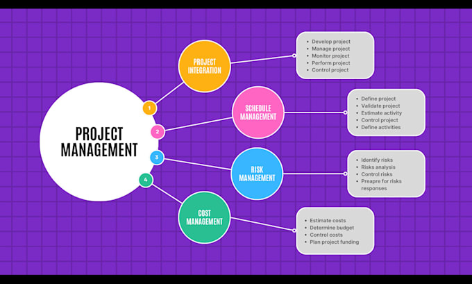 Gig Preview - Do project management assignments