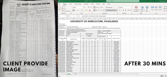 Gig Preview - Do data entry typing work job in ms excel data entry and web research