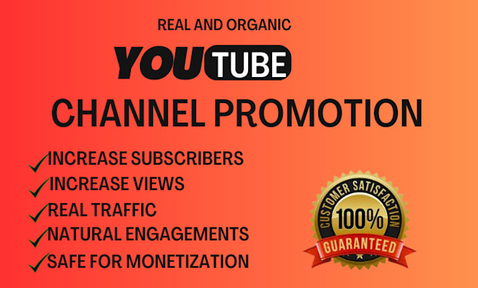 Gig Preview - Do organic youtube video seo music video promotion