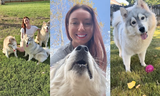 Gig Preview - Create ugc husky dog video ads for tiktok instagram facebook