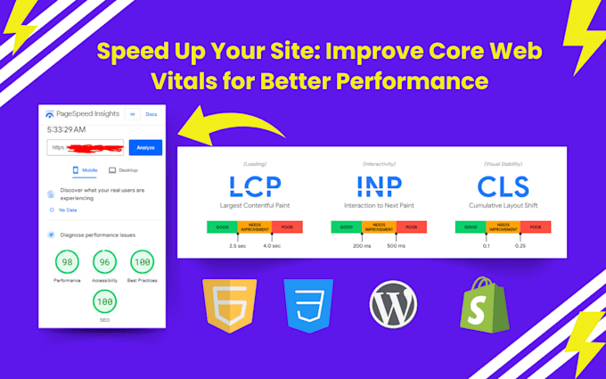 Gig Preview - Fix core web vitals and cls, lcp, inp, fid issue