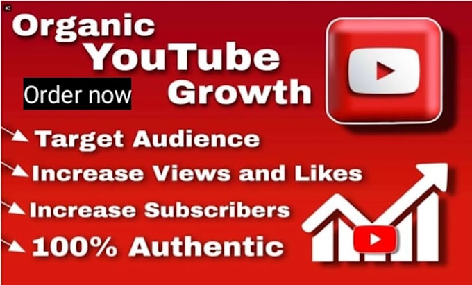 Gig Preview - Do organic youtube video promotion subscriber growth