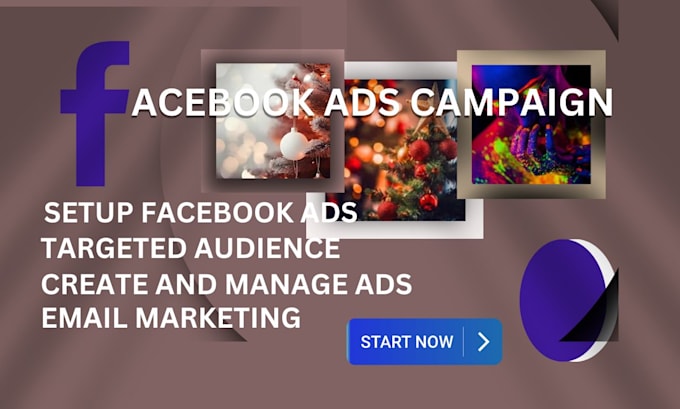 Gig Preview - Run facebook ads campaign manager and instagram ads advertising