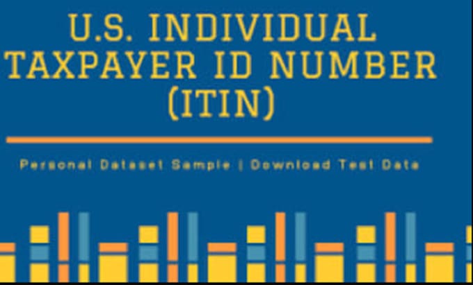 Gig Preview - Apply for your itin individual taxpayer identification number