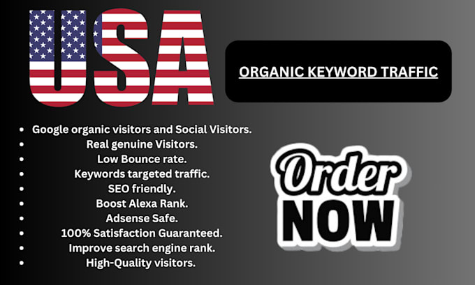 Gig Preview - Drive USA keyword targeted organic audience to your website