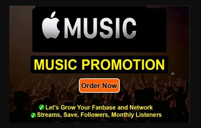 Gig Preview - Do super fast organic apple music promotion for music growth