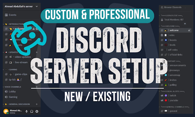 Gig Preview - Do custom discord server setup, create custom discord server