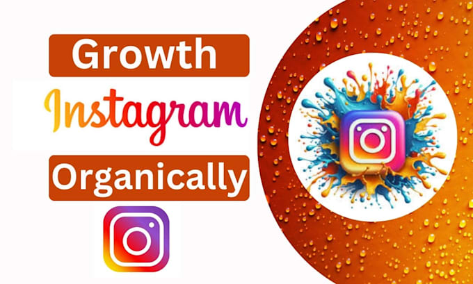 Gig Preview - Do super fast organic instagram growth, promotion and marketing