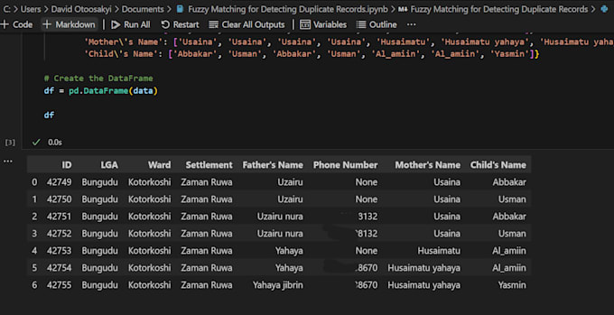 Gig Preview - Help you clean and match your data for entity resolution