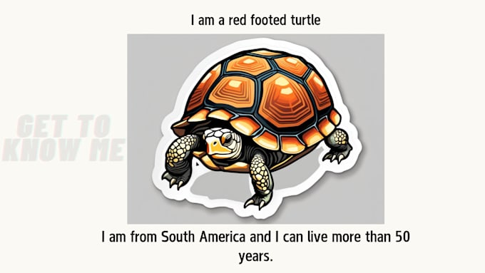 Gig Preview - Give a customized red footed turtle template