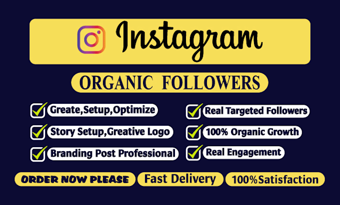 Gig Preview - Do instagram for fast organic followers