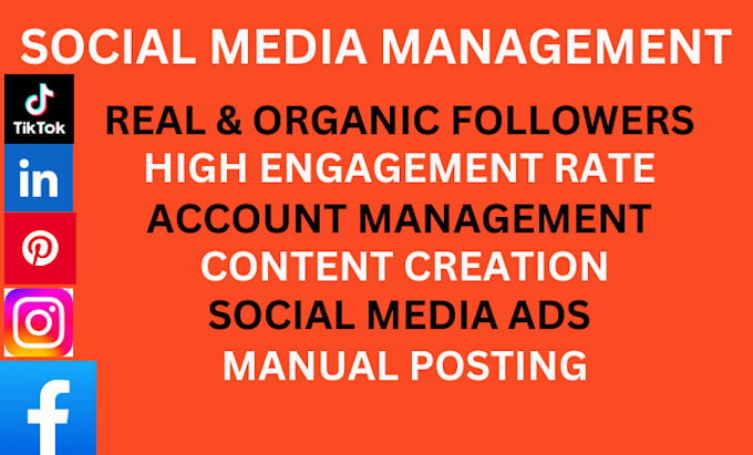 Gig Preview - Be your social media management, social media manager, social media marketing