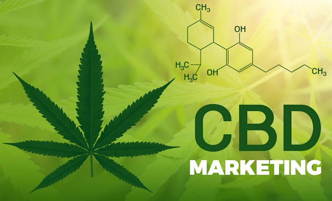 Gig Preview - Promote your cbd product, marijuana, cannabis, cbd telegram to active audience