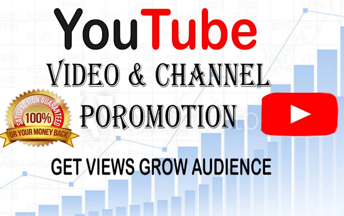 Gig Preview - Promote youtube video to real audience