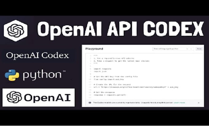 Gig Preview - Build an openai code interpreter for python, compiling,decompiling python script