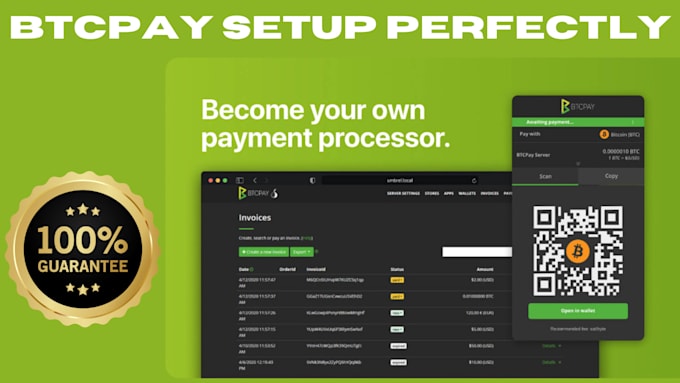 Gig Preview - Install setup and integrate btcpay server into your wordpress or shopify store