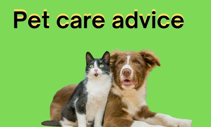 Gig Preview - Give you pet care advice for your dogs and cats