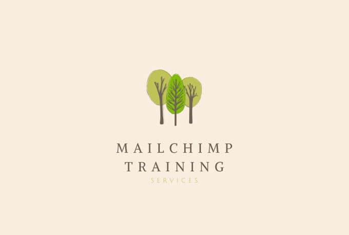 Gig Preview - Teach your how to use mailchimp