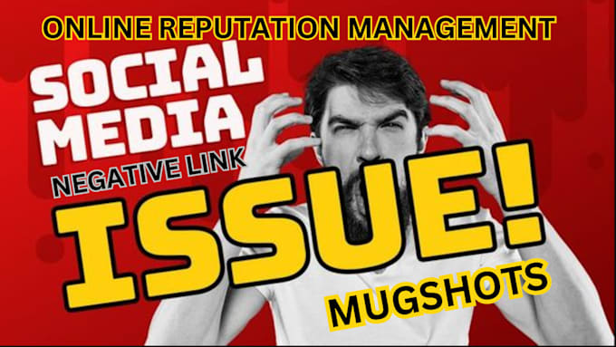 Gig Preview - Delete negative links do online reputation repair brand management mugshot ORM