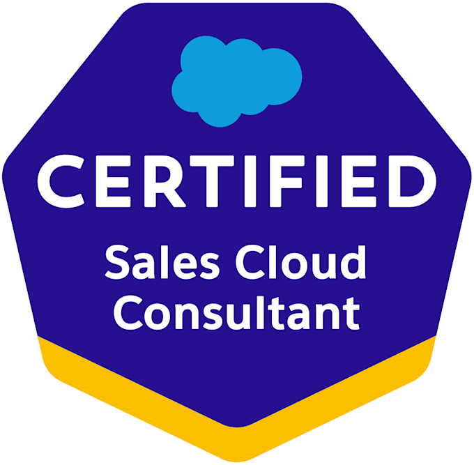 Gig Preview - Be your personal salesforce consultant