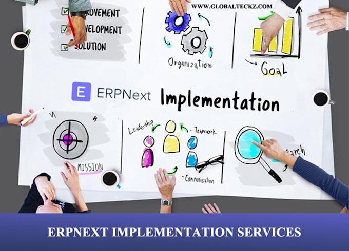 Gig Preview - Do erp implementation and support  erpnext epicor more