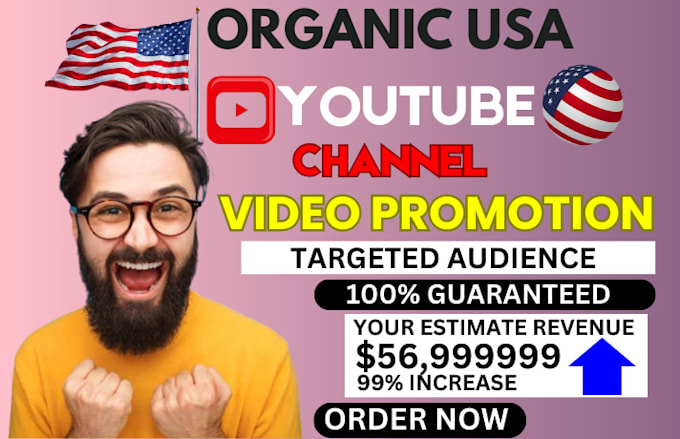 Gig Preview - Do USA youtube promotion USA channel promotion to USA active audience