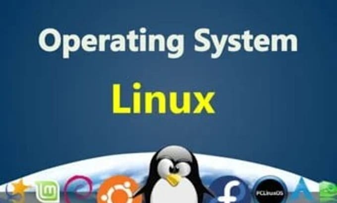 Gig Preview - Help you with operating system and linux projects in c, cpp,  and java