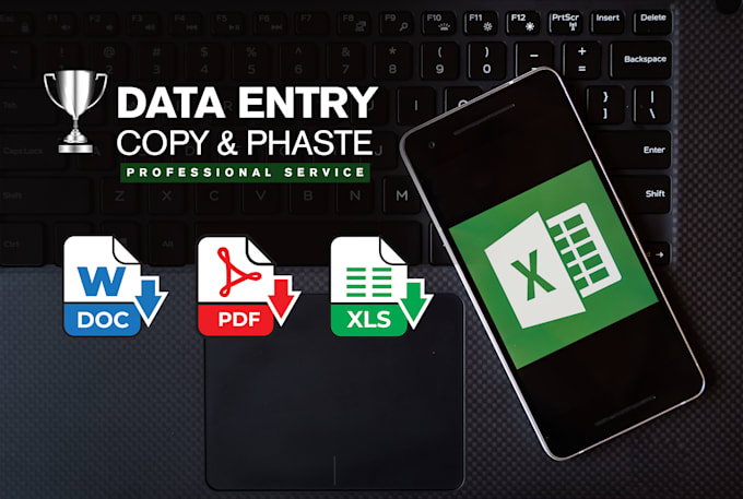 Bestseller - do excel data entry, analysis, copy paste, convert files