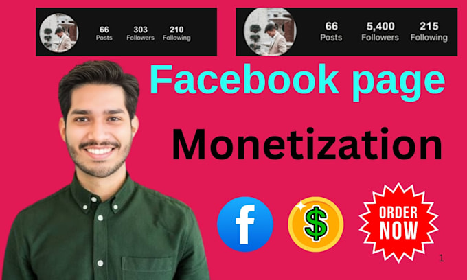 Gig Preview - Promote your page and organically fulfill the facebook monetization criteria