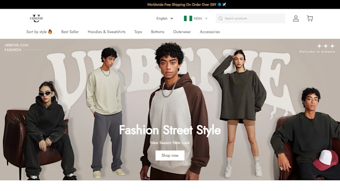 Bestseller - design pan shopify store website