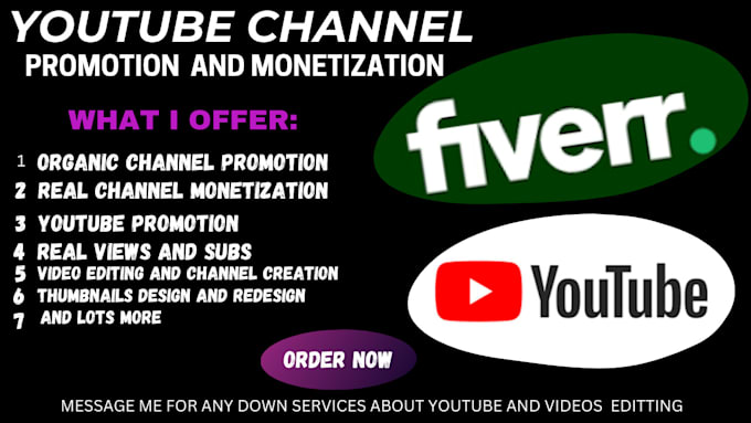 Gig Preview - Boost your youtube channel with channel videos to get organic viewers