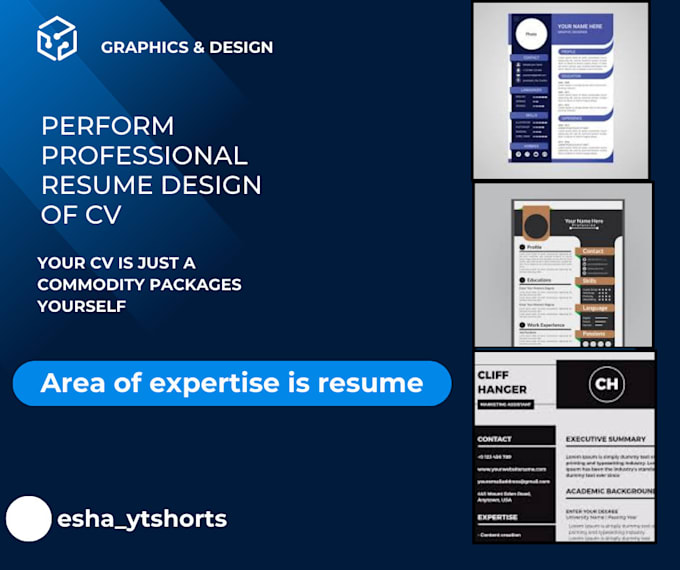 Gig Preview - Perform professional resume design and CV design