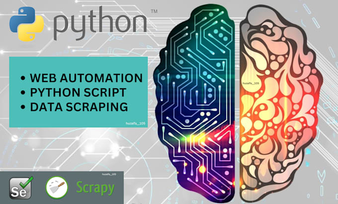 Gig Preview - Python automation web automation python web scraping data scraping python script