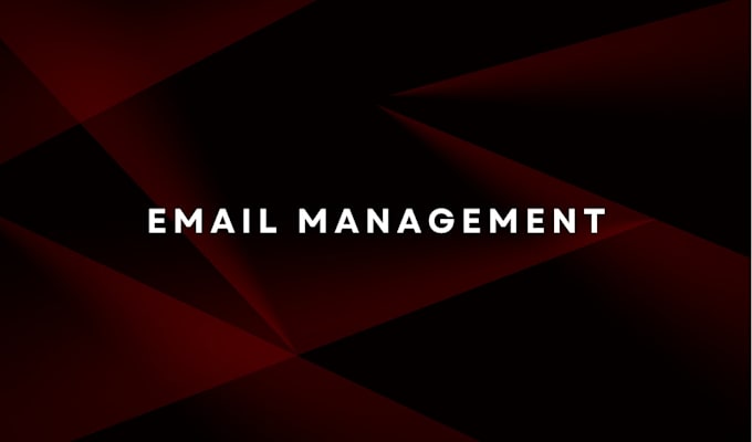 Gig Preview - Secure, manage, and optimize your email system