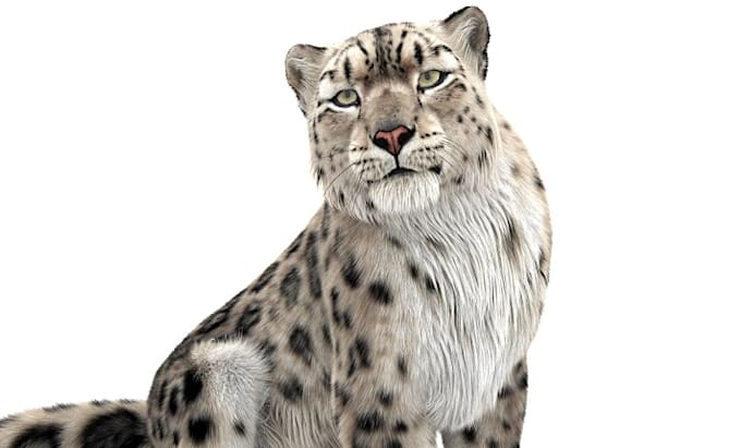 Gig Preview - Do 3d animal animation, 3d animal model, cgi animal animation, animal fur