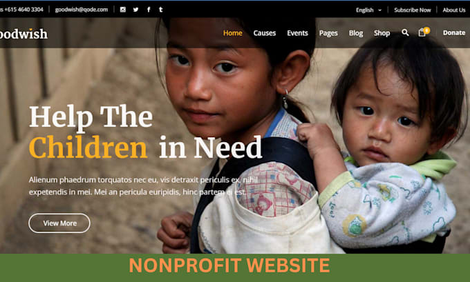 Gig Preview - Design, nonprofit website, ngo,donation,501c3, crowdfunding, fundraising website