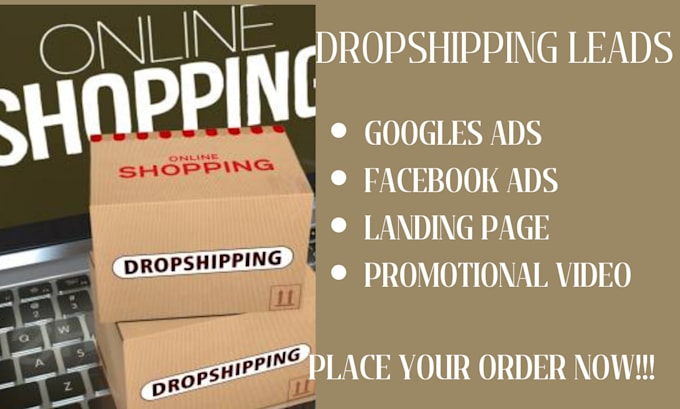 Gig Preview - Create custom dropshipping store facebook ads landing page promotional video