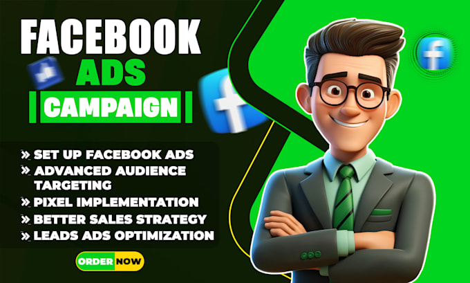 Gig Preview - Setup facebook ads campaign for leads and sales for your business