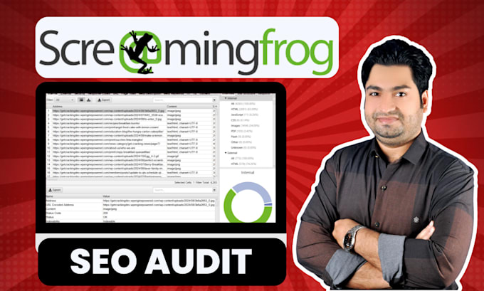 Gig Preview - Give premium screaming frog SEO audit report