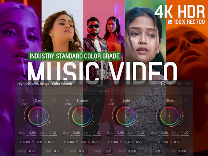 Gig Preview - Industry standard color grading for music video