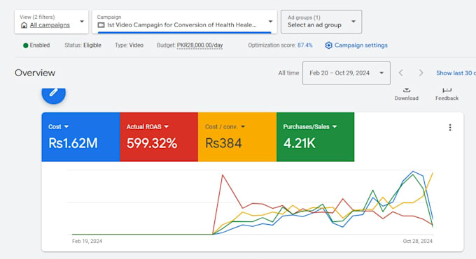 Gig Preview - Reach your targeted audience by google ads and youtube