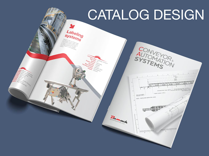 Gig Preview - Design professional catalogs, brochures and lookbook for your company