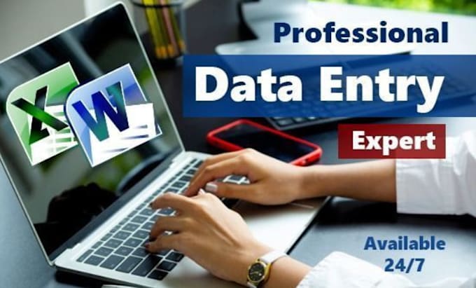 Gig Preview - Fast and accurate data entry solutions PDF to excel and word