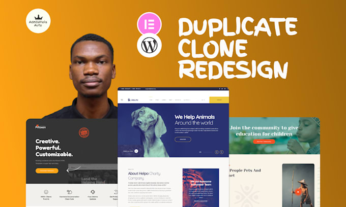 Gig Preview - Design revamp duplicate responsive wordpress website manage or from scratch