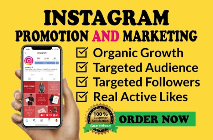 Gig Preview - Do fast organic instagram growth and increase followers with full engagement