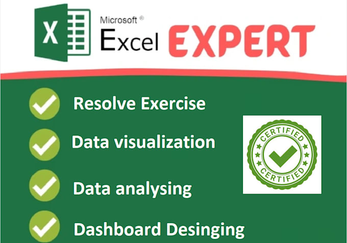 Gig Preview - Do any exercise and visualization in excel