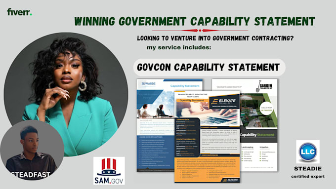 Gig Preview - Design federal government and business capability statement